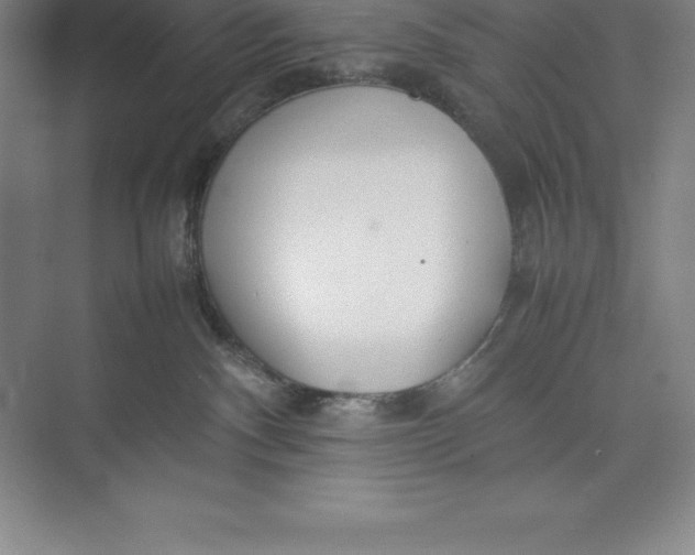 X0000074930140200609221649