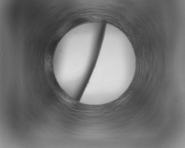 X0000074930141200609221649