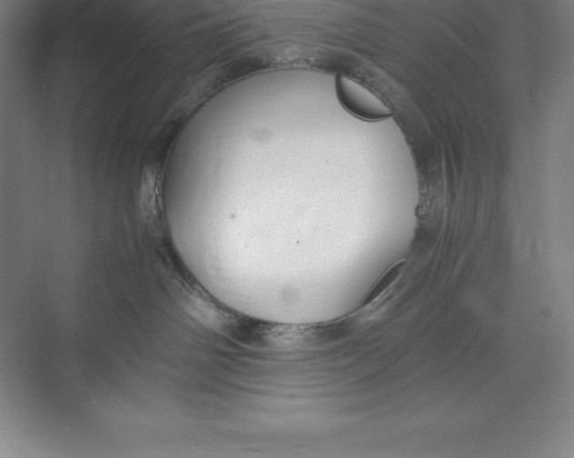 X0000074930142200609221649