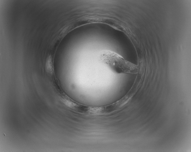 X0000074930143200609221649