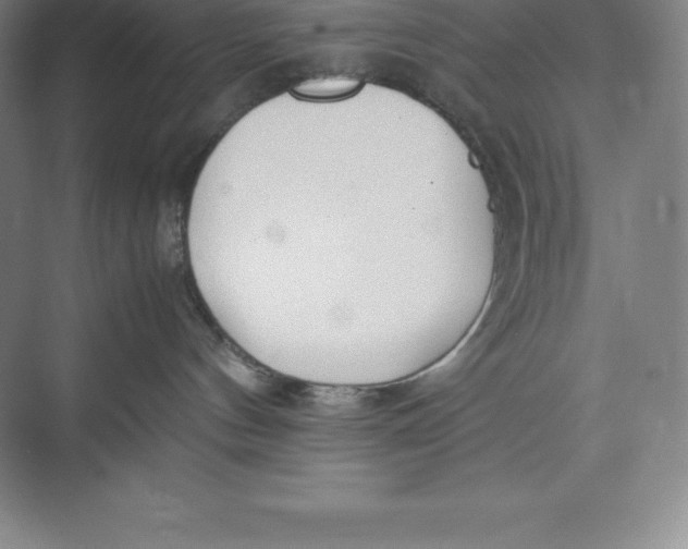 X0000074930144200609221649