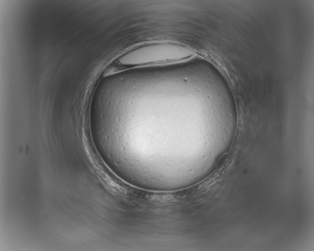 X0000074930145200609221648