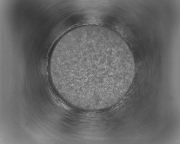 X0000074930146200609221648