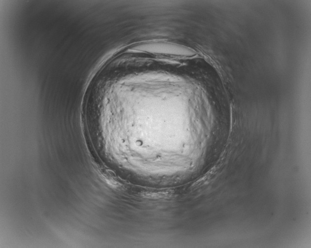 X0000074930147200609221648