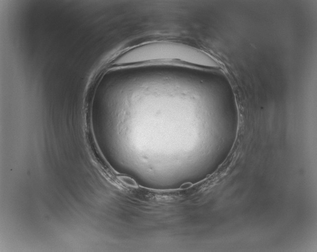 X0000074930149200609221648