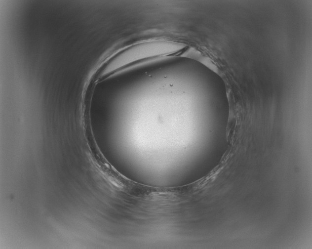 X0000074930150200609221648