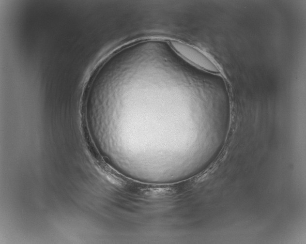 X0000074930151200609221648