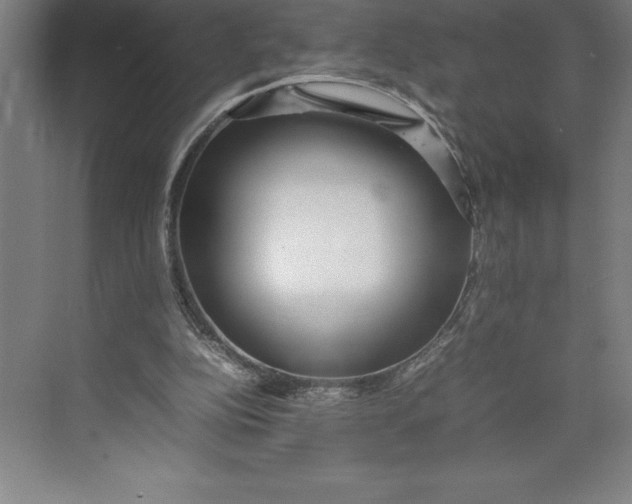 X0000074930152200609221648