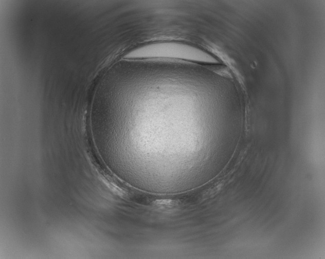 X0000074930153200609221648