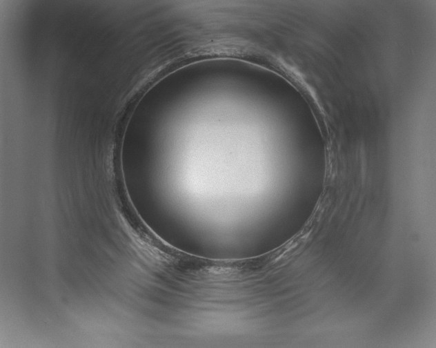 X0000074930154200609221648