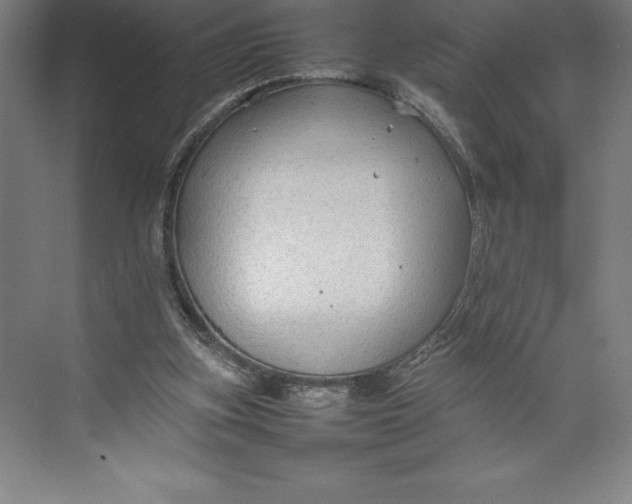 X0000074930155200609221648