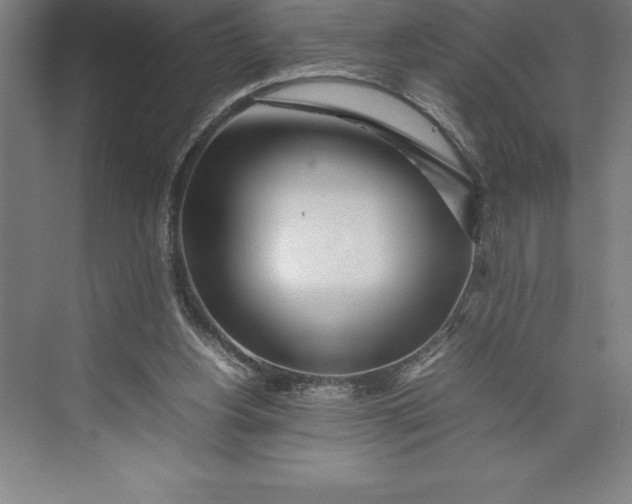 X0000074930156200609221648