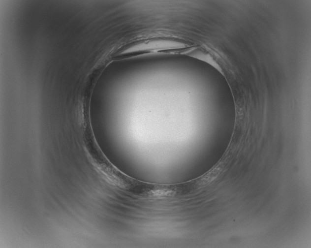 X0000074930158200609221648