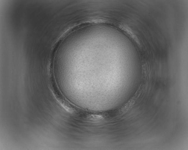 X0000074930159200609221648