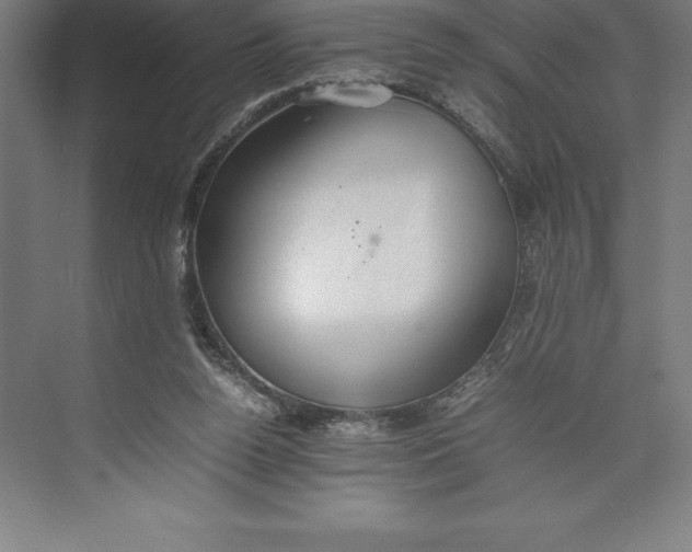 X0000074930160200609221648