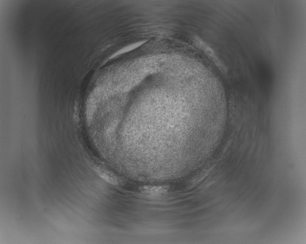 X0000074930161200609221648