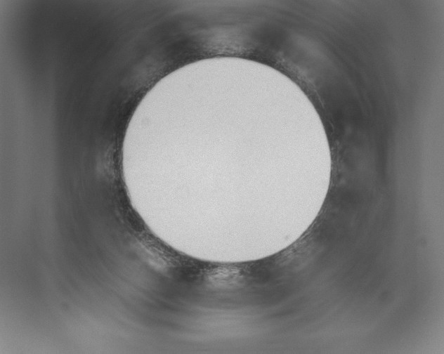 X0000074930162200609221648