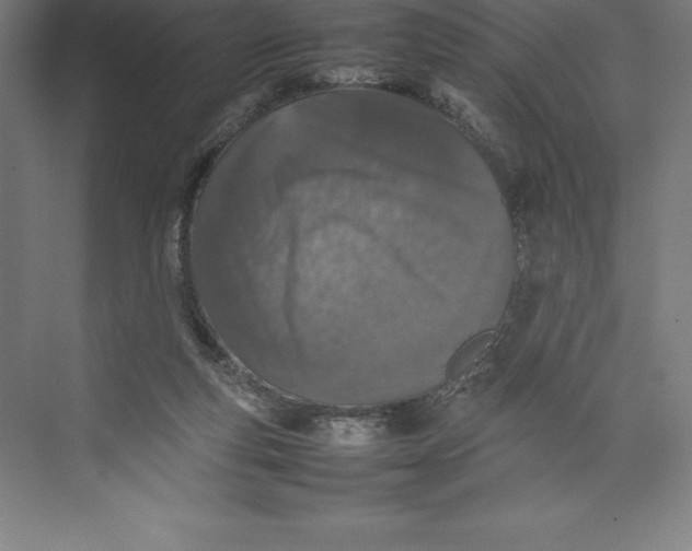 X0000074930163200609221648