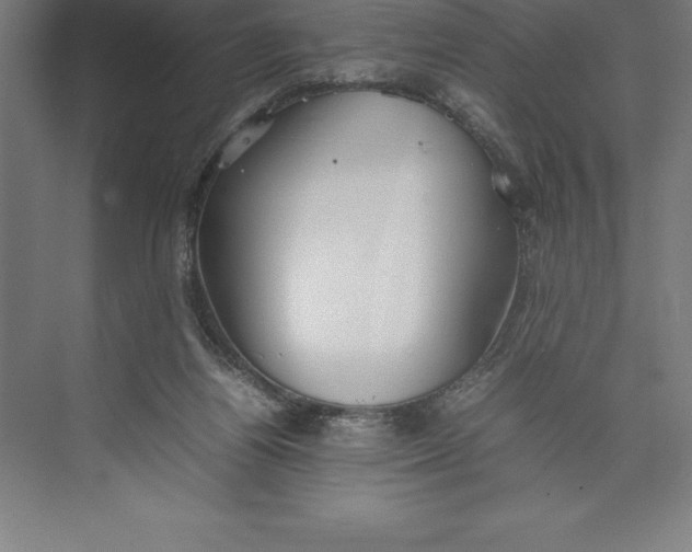 X0000074930164200609221648