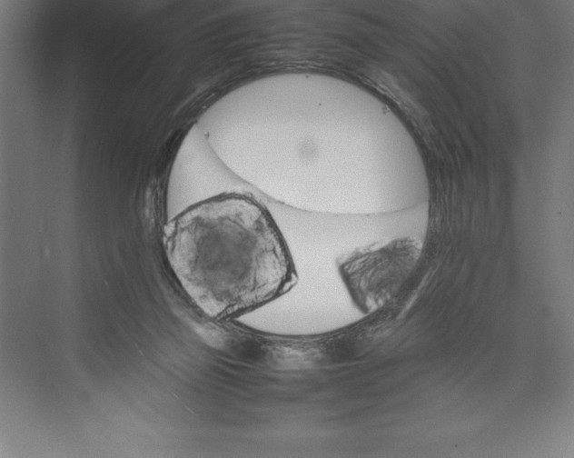 X0000074930165200609221648