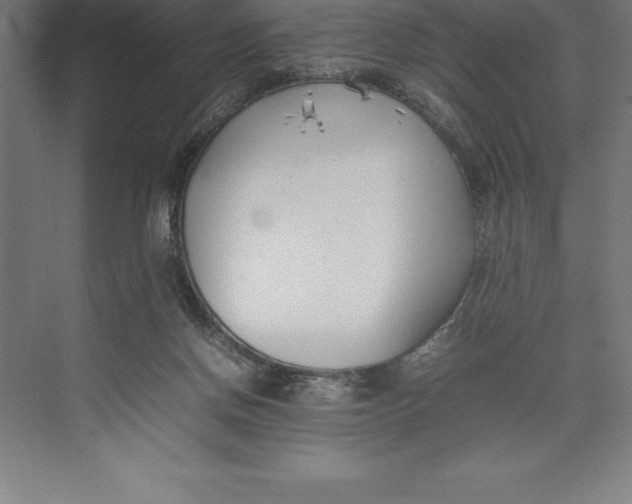 X0000074930166200609221648