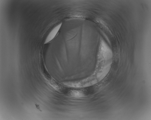 X0000074930167200609221648