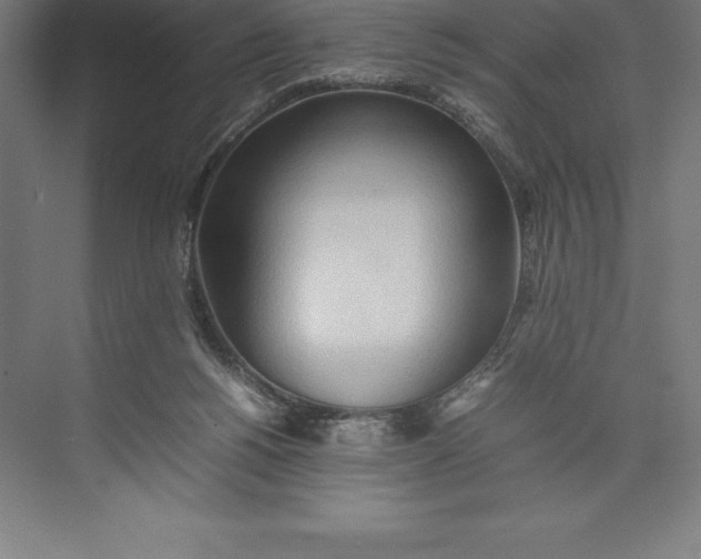 X0000074930168200609221648