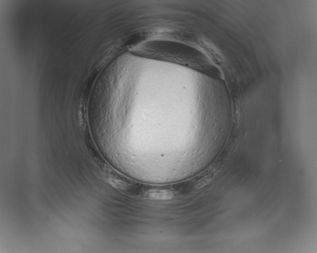 X0000074930169200609221648