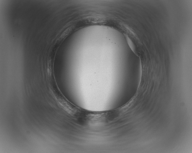 X0000074930170200609221648