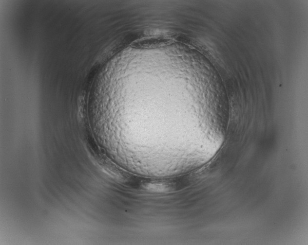 X0000074930171200609221648