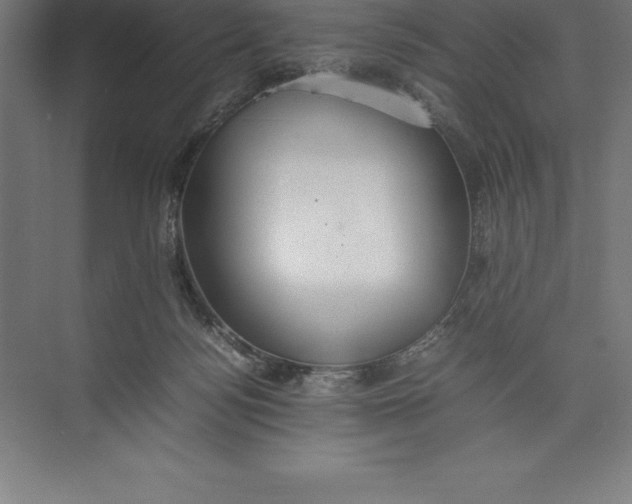 X0000074930172200609221648