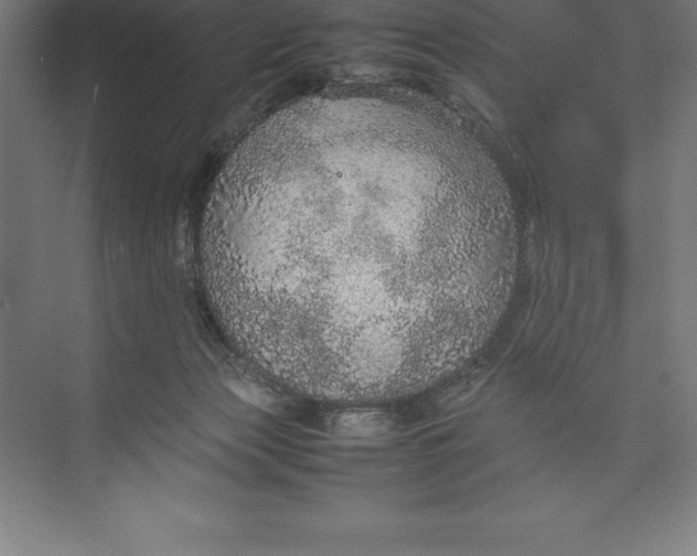 X0000074930173200609221648