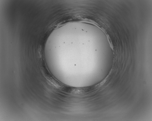 X0000074930174200609221648