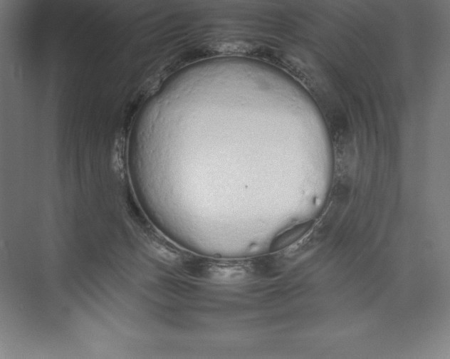 X0000074930175200609221648