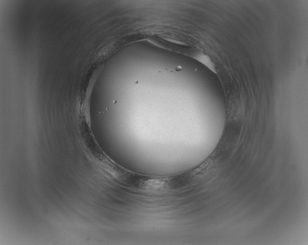 X0000074930176200609221648