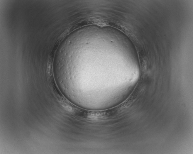 X0000074930177200609221648