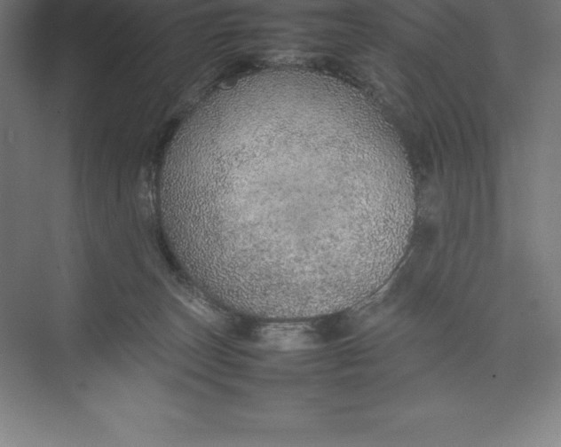 X0000074930179200609221648