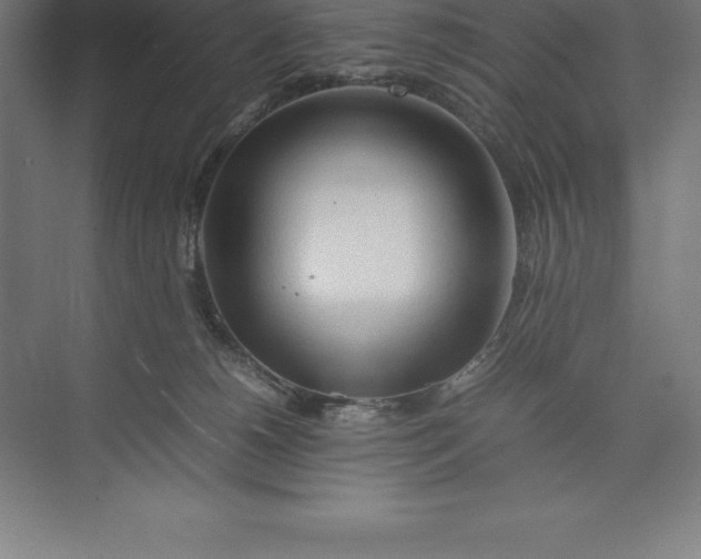 X0000074930180200609221648