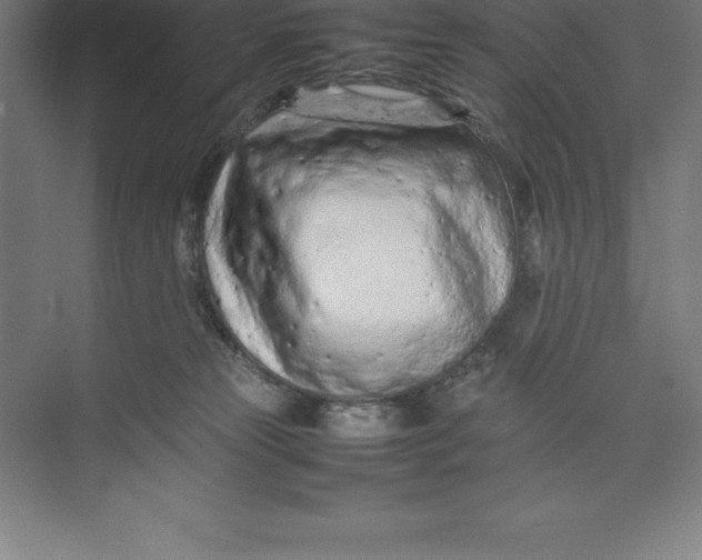 X0000074930181200609221648