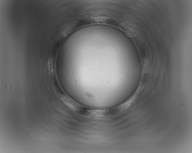 X0000074930182200609221648