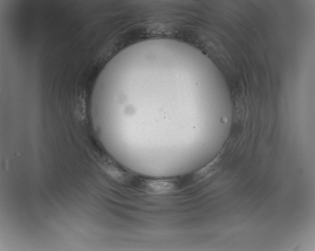 X0000074930183200609221648