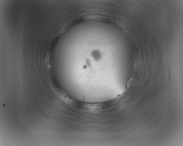 X0000074930187200609221648