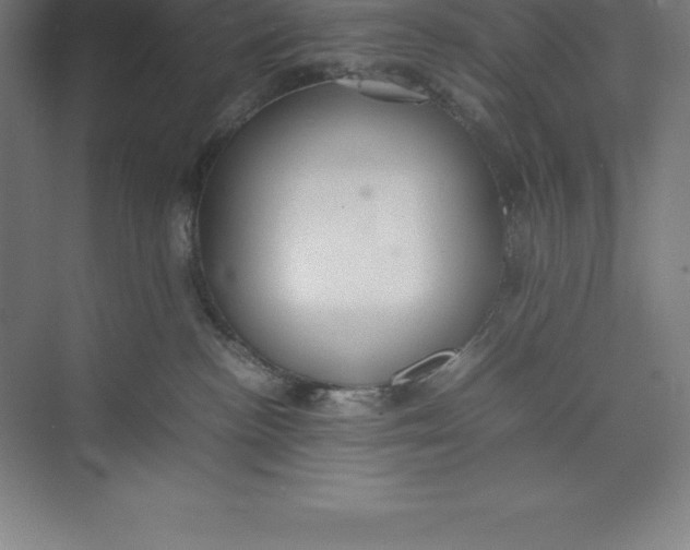 X0000074930188200609221648