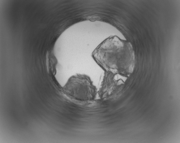 X0000074930189200609221648