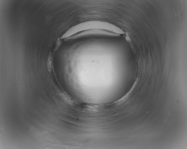 X0000074930190200609221648