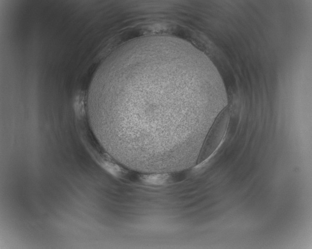 X0000074930191200609221648