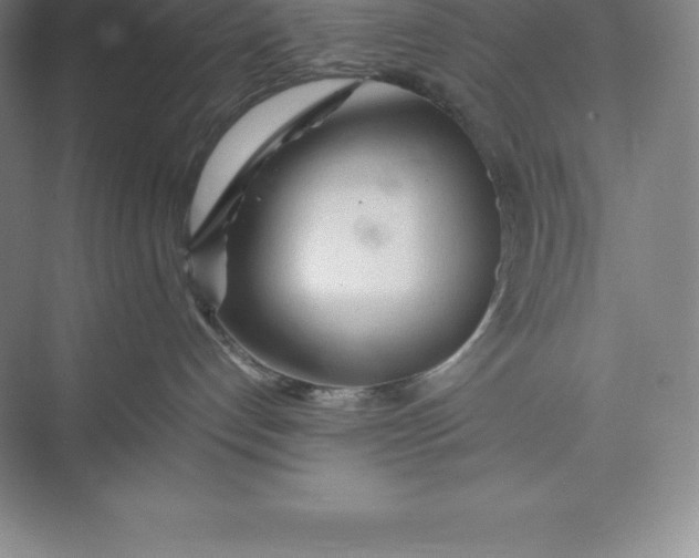 X0000074930192200609221648