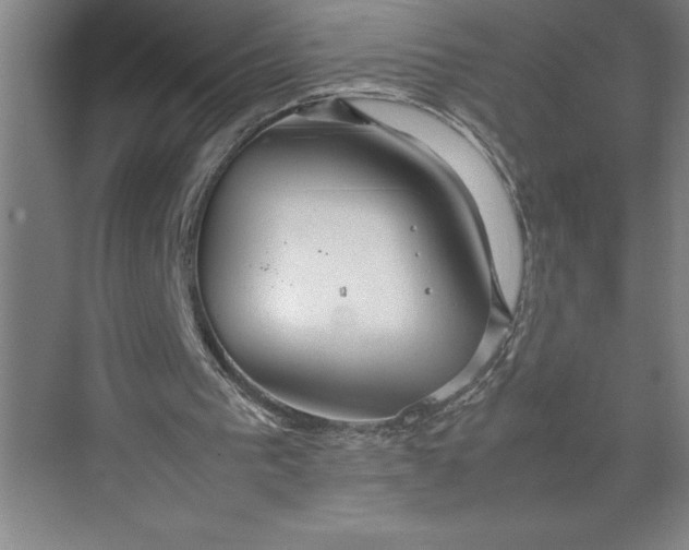 X0000074930193200609221648