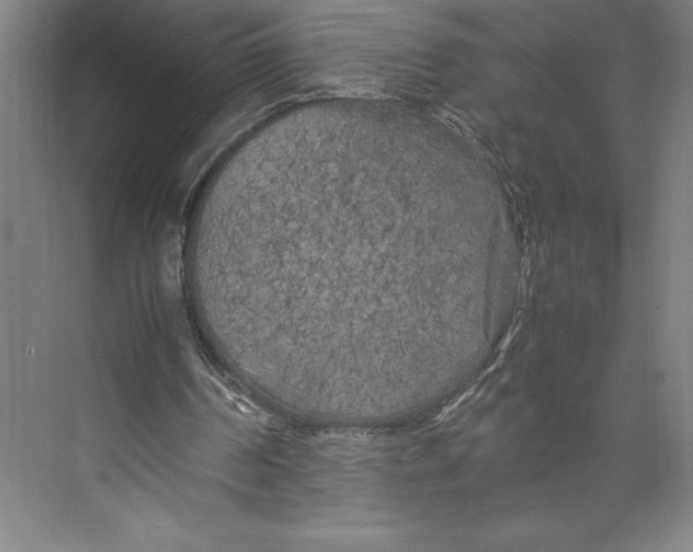 X0000074930194200609221648