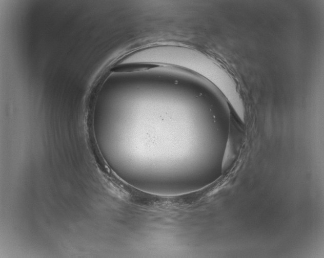 X0000074930197200609221648